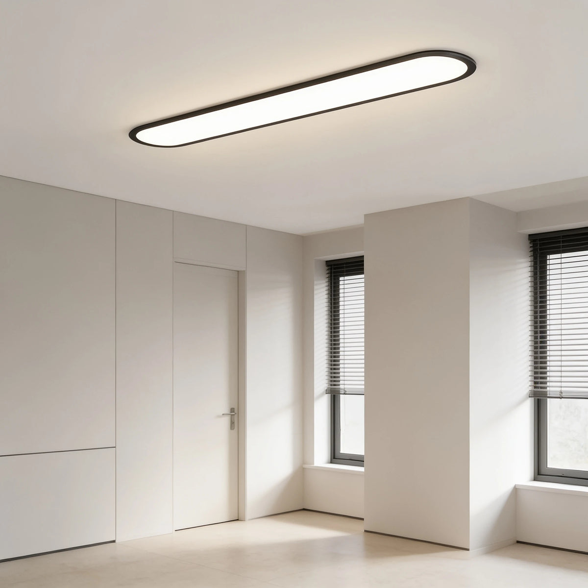 Grale black oval linear LED ceiling light in an entrance room with a door and window