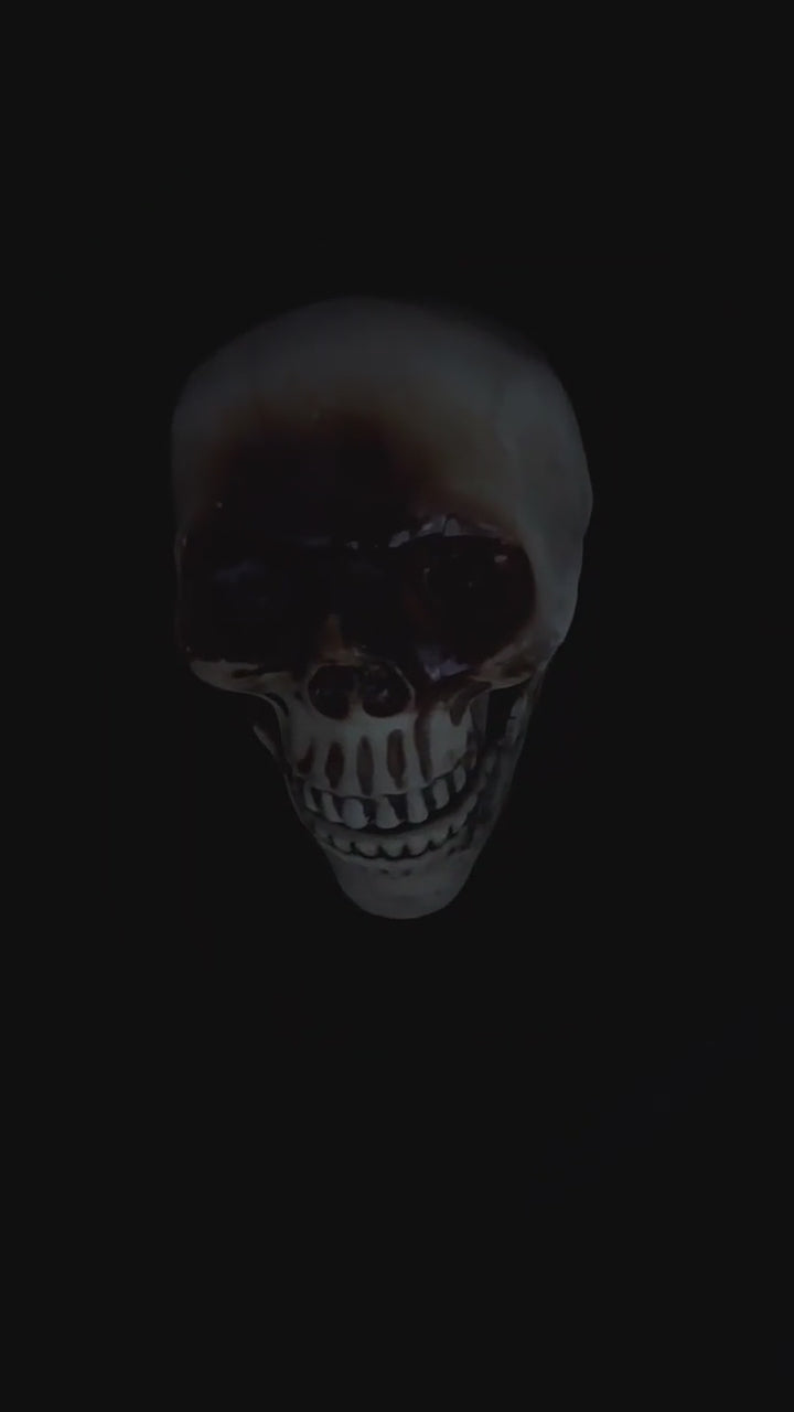 Load video: Darkle talking skull head Halloween prop demonstration video