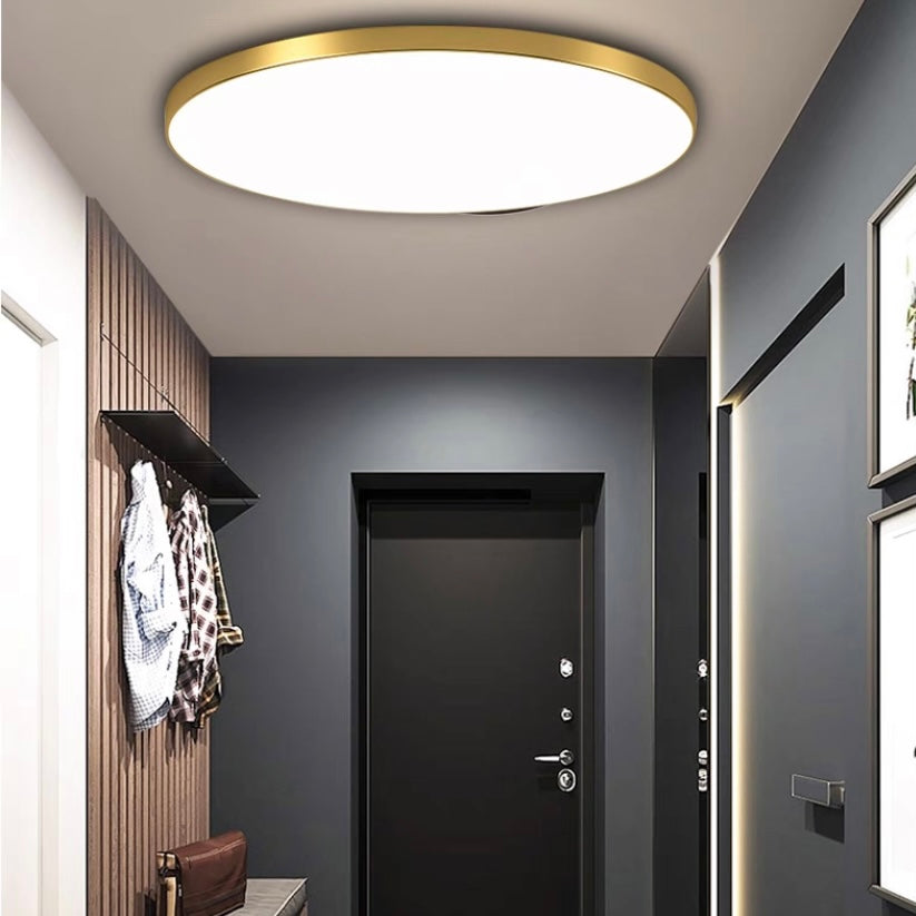 Gold ultra-thin round flush mount tywa ceiling light illuminating a modern entryway corridor